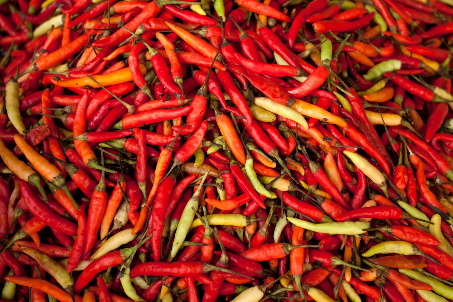 Chile tailandés