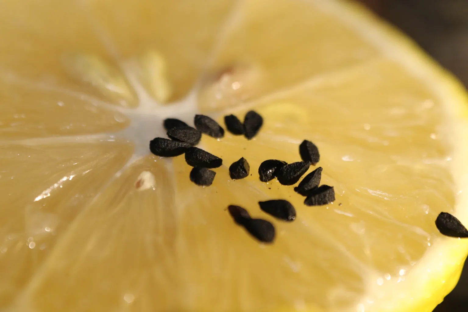 Semi di nigella