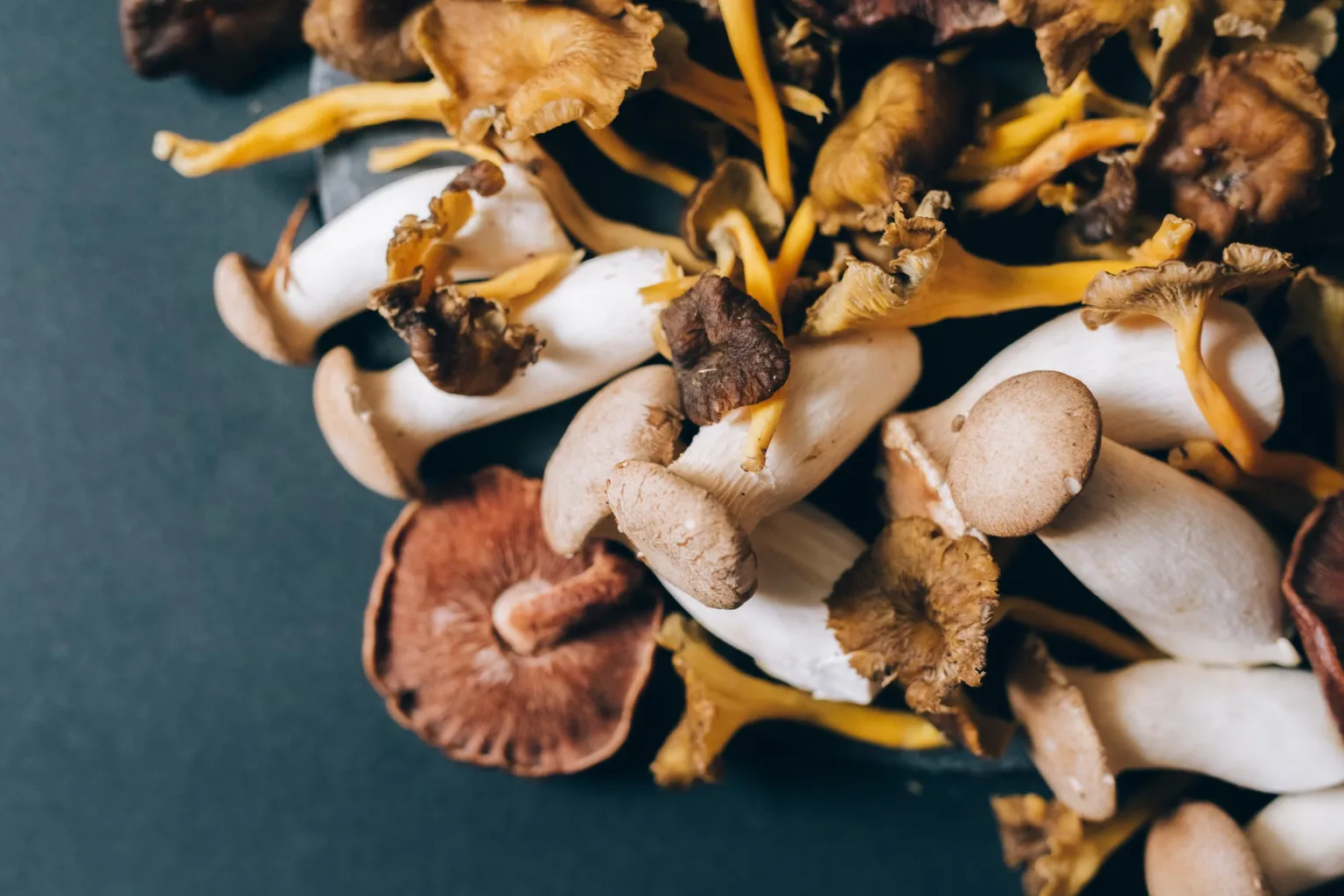 Dried mushrooms