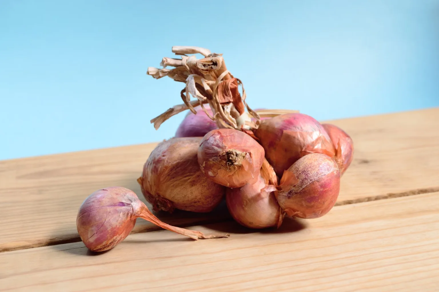 Shallots