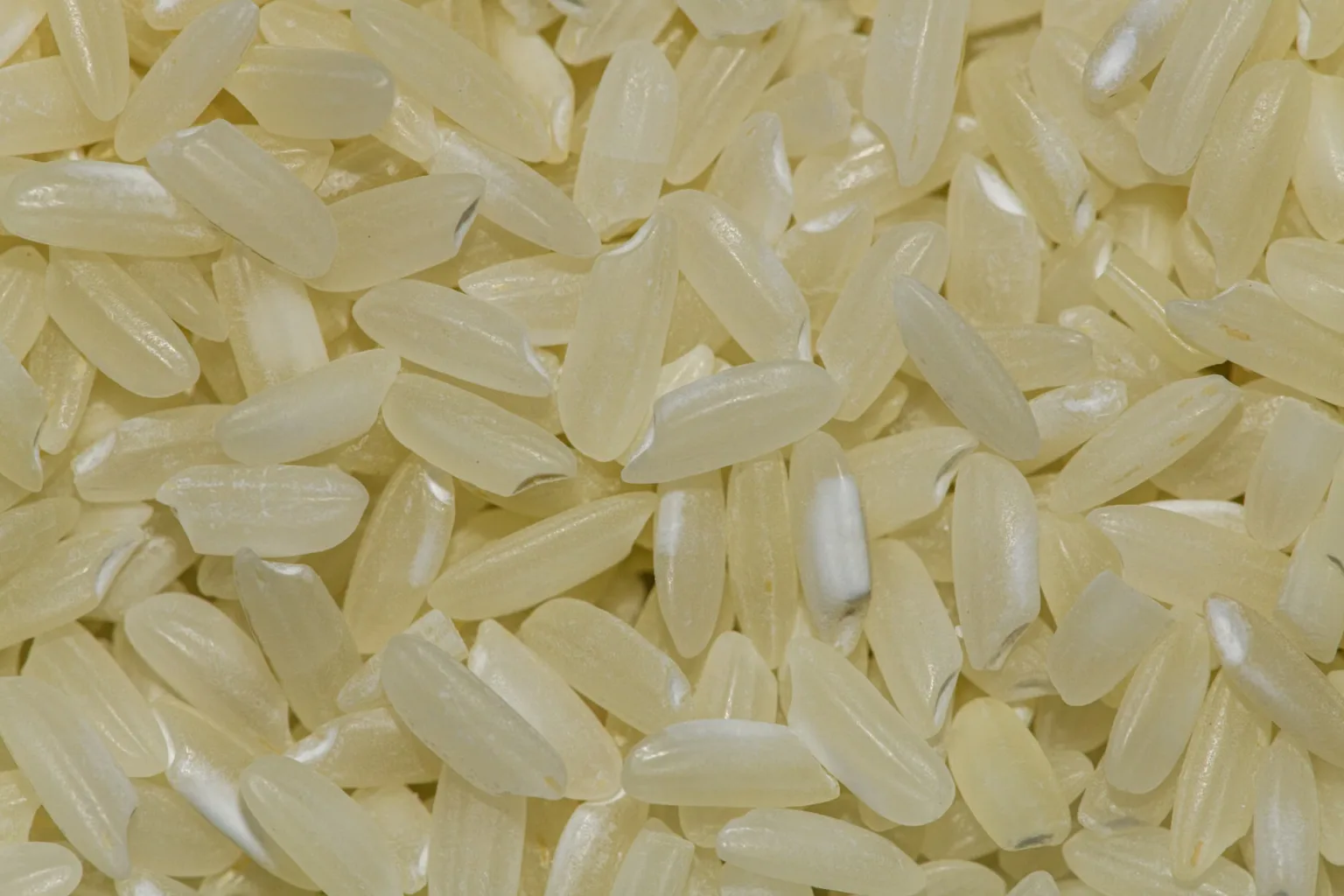 Riz cuit froid