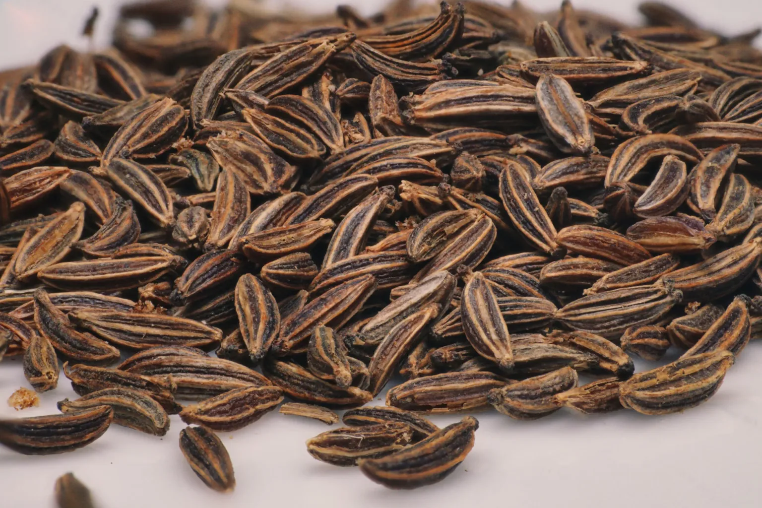 Ajwain (semi di carom)