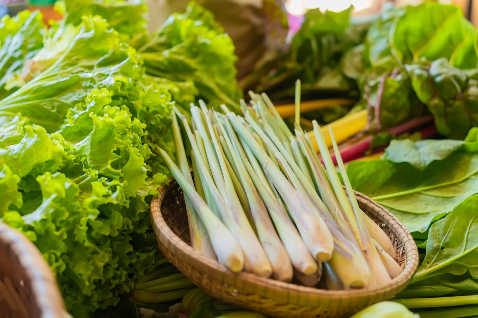 Citronella