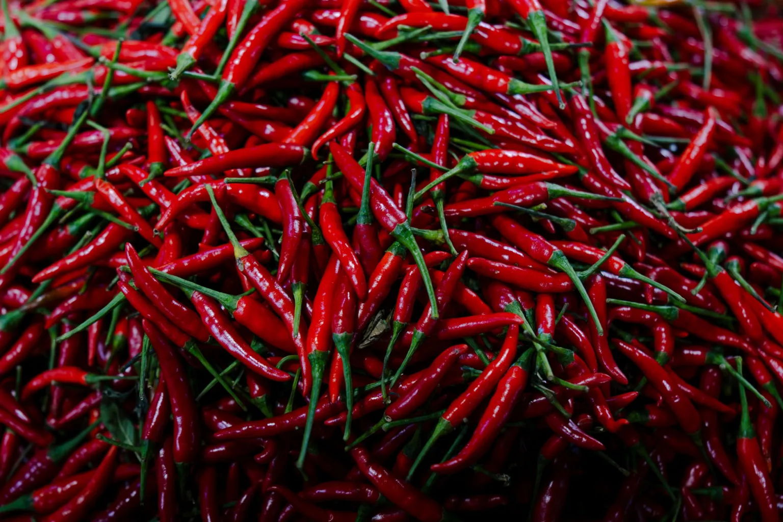 Fresh red chile