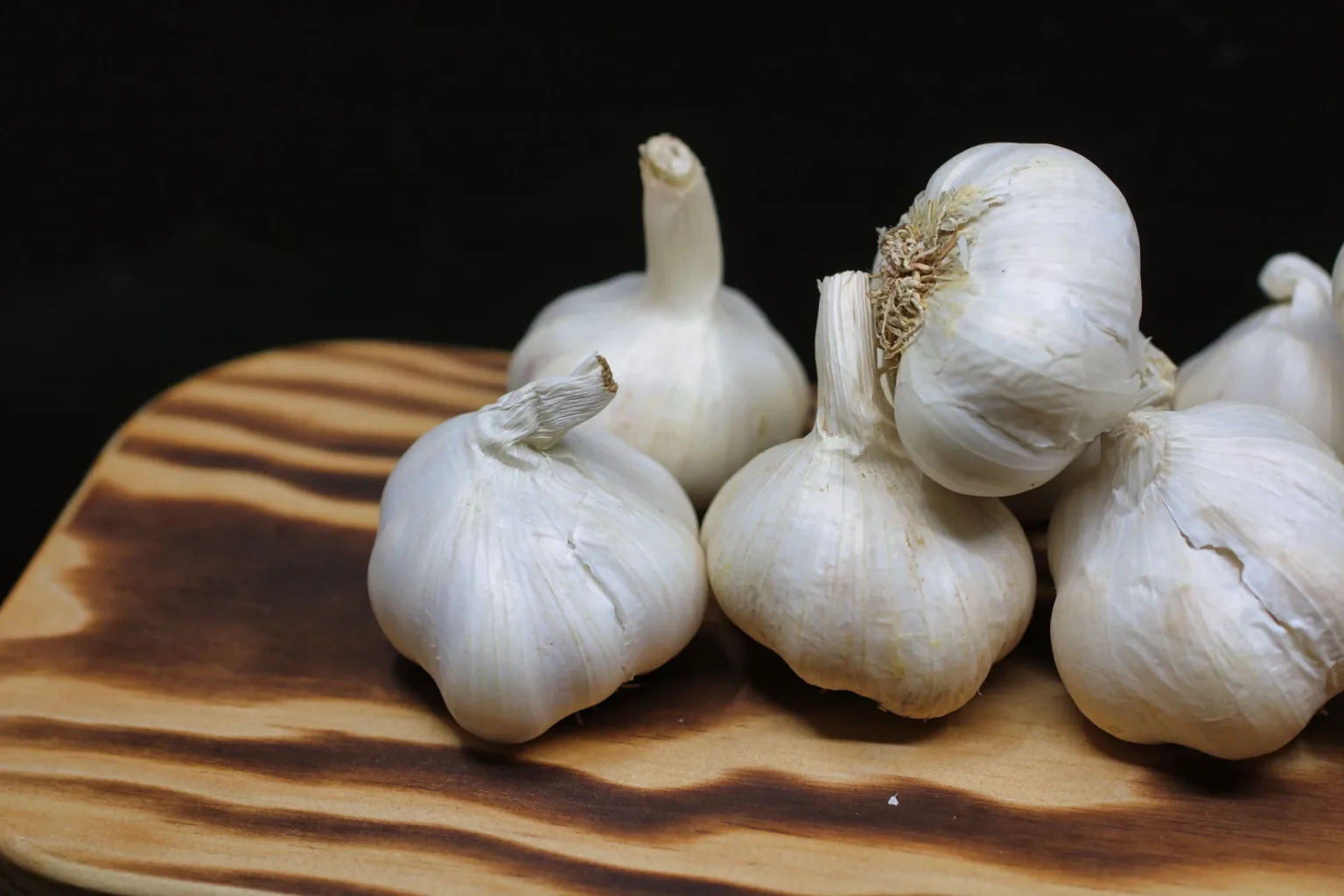 Knoblauchknolle für die Brühe