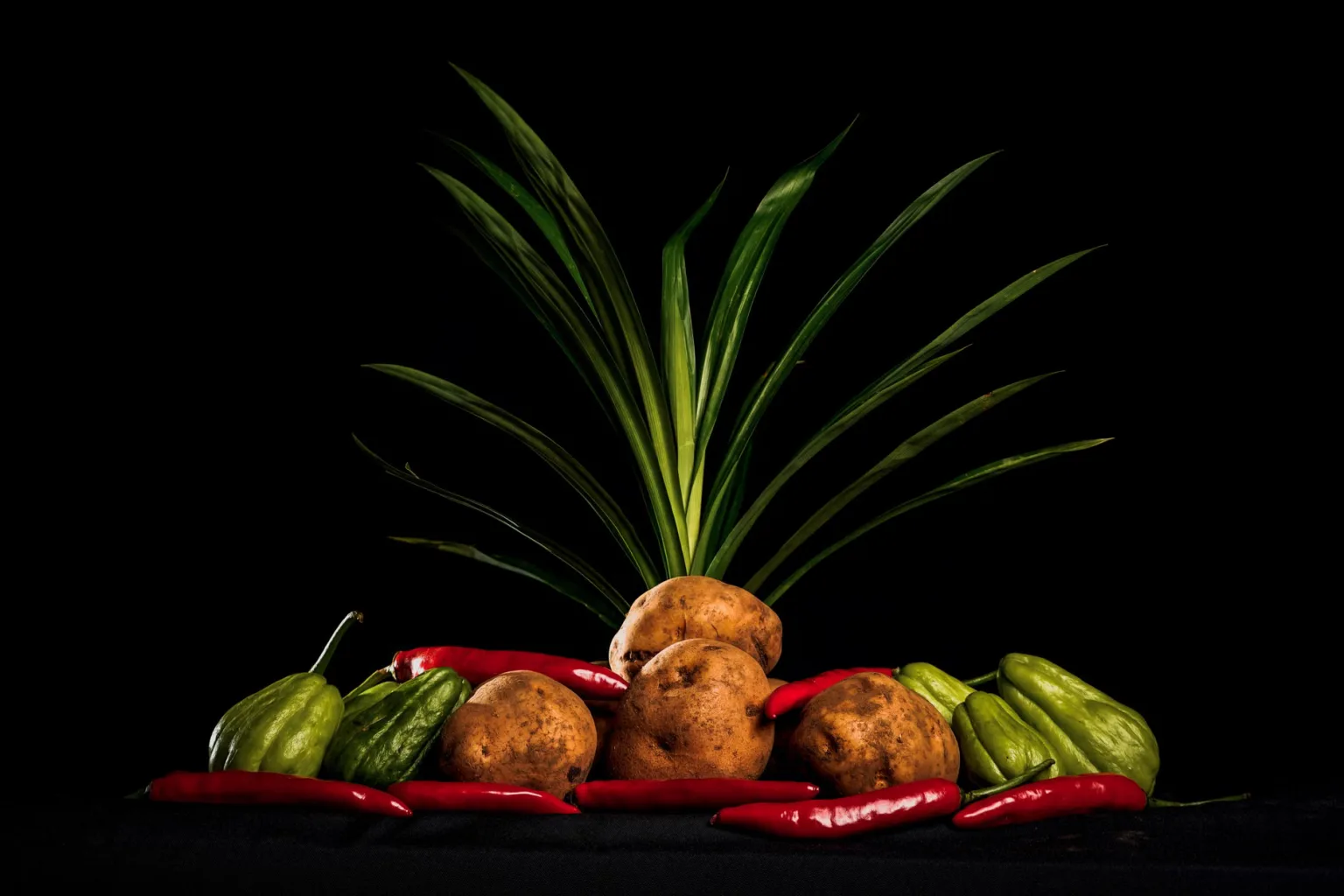 Chayote