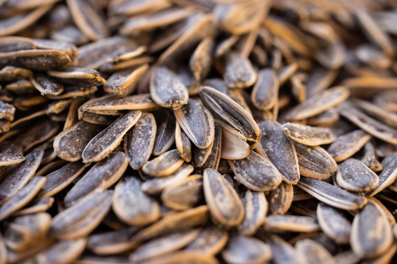 Sunflower oil
