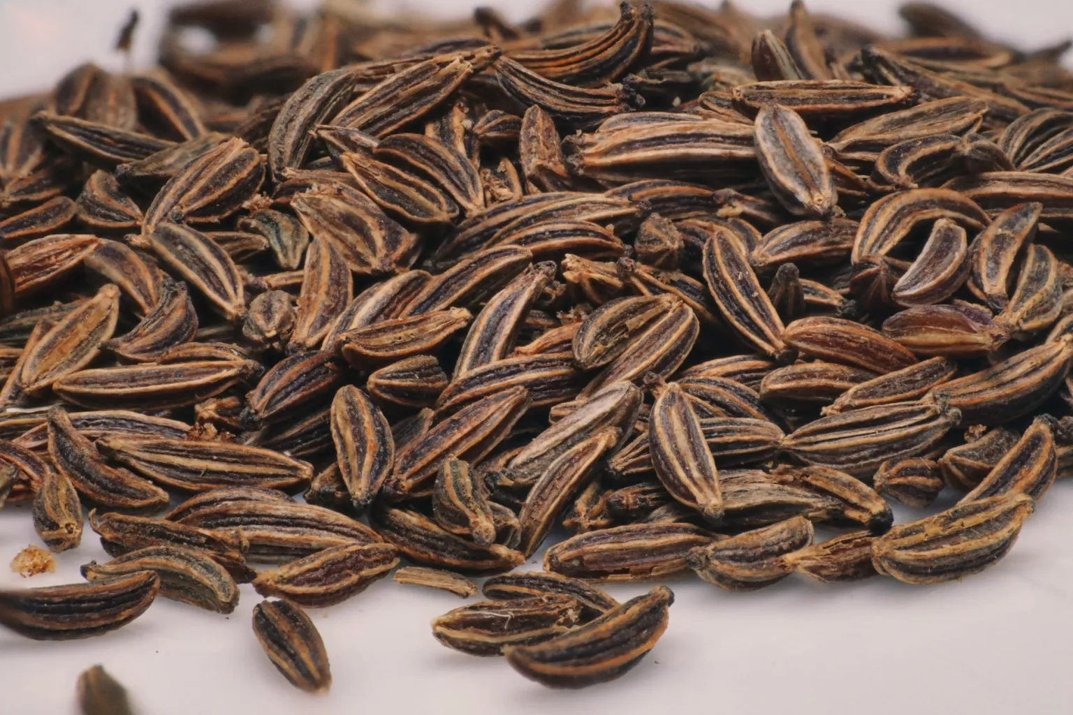 Celery seeds