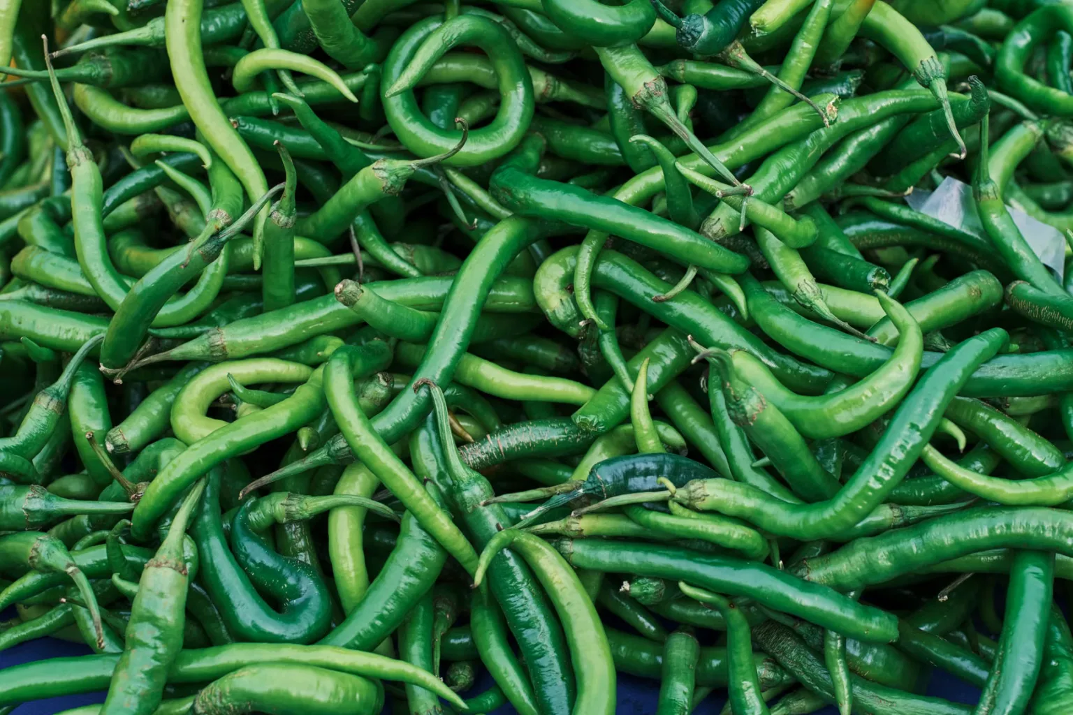 Chiles