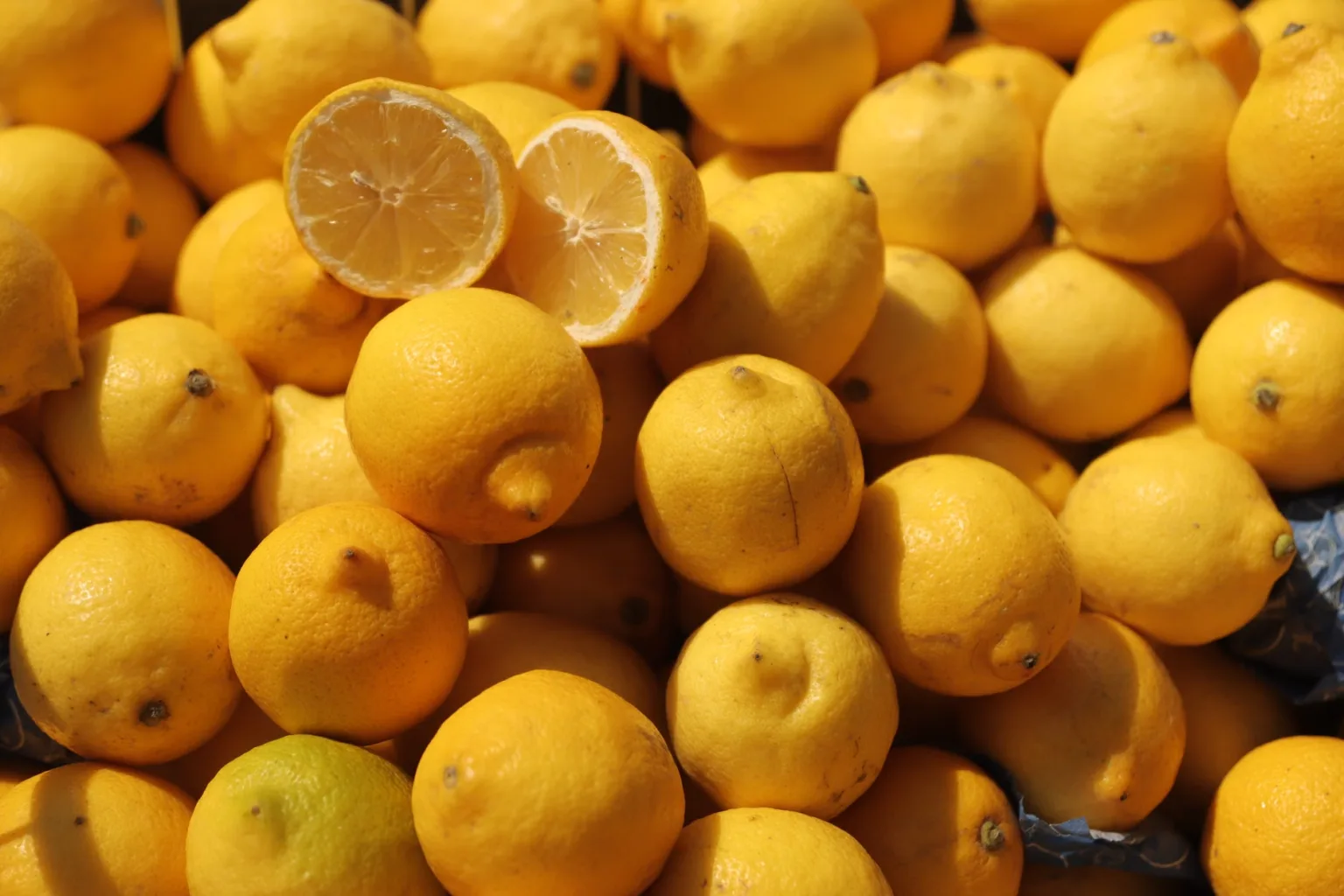 Lemon yogurt
