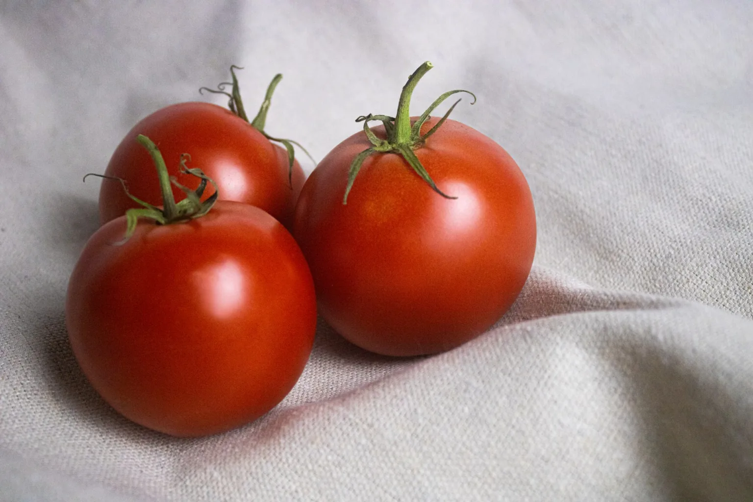 Tomates grandes