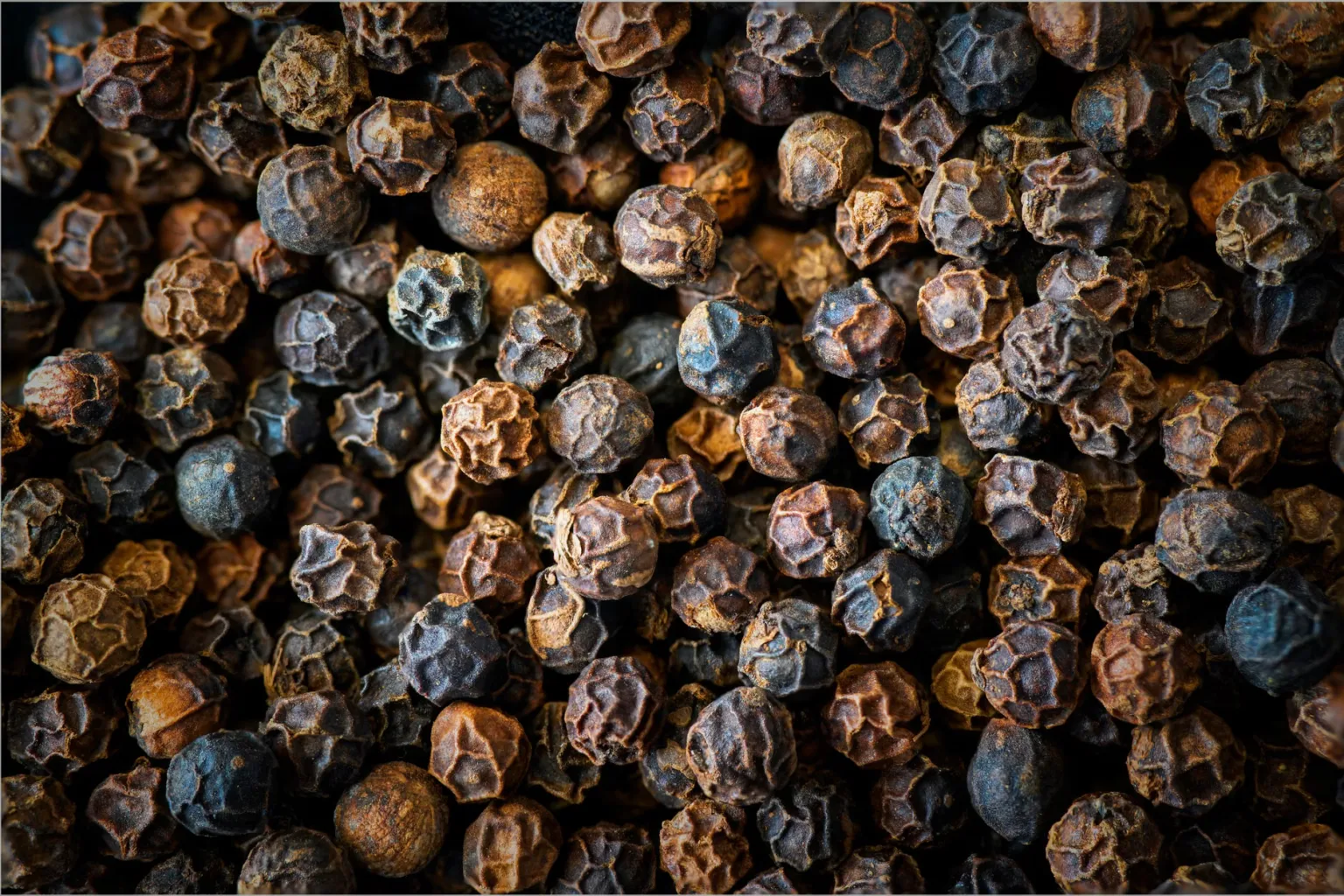 Grãos de pimenta-preta