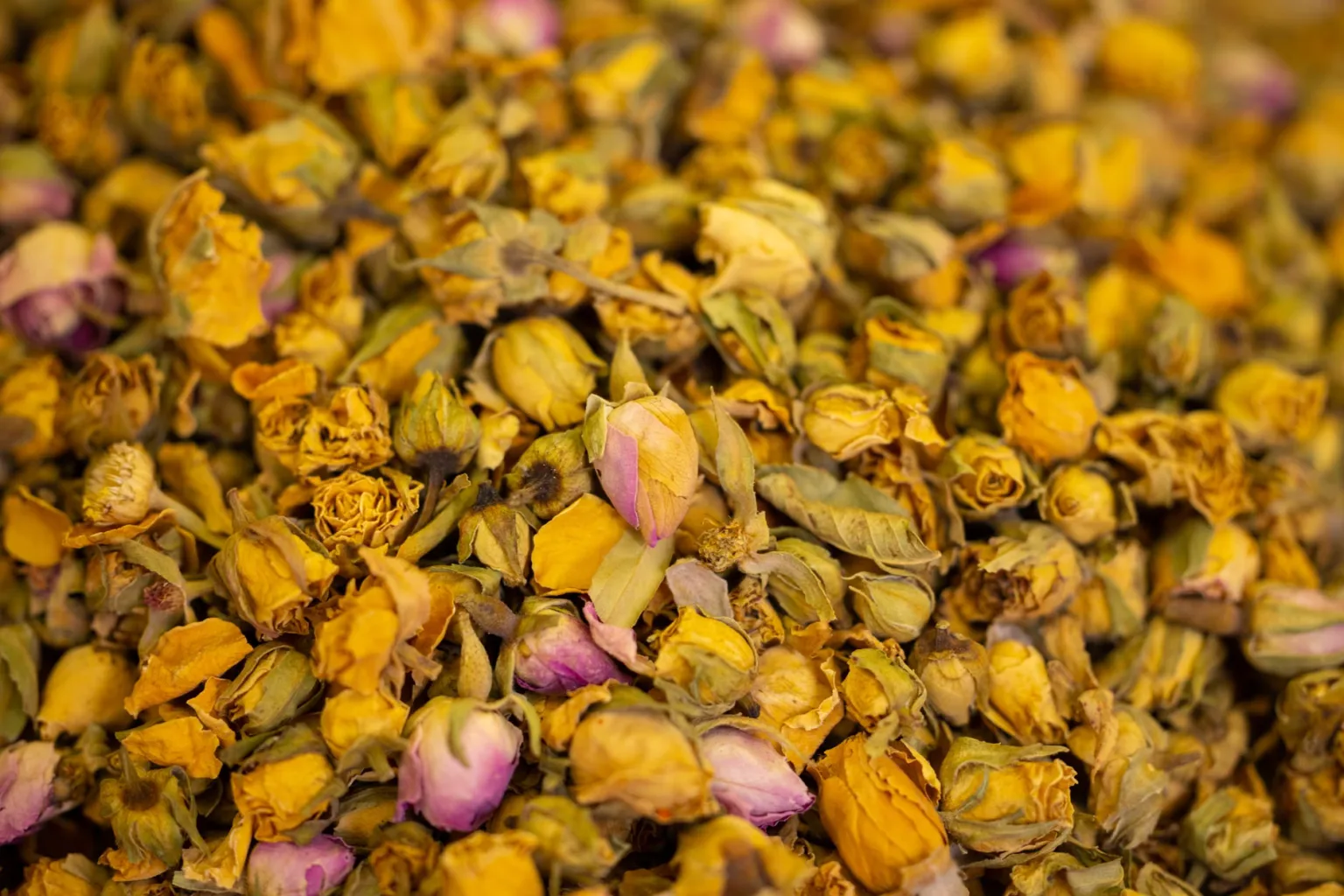 Pétalas de rosa secas