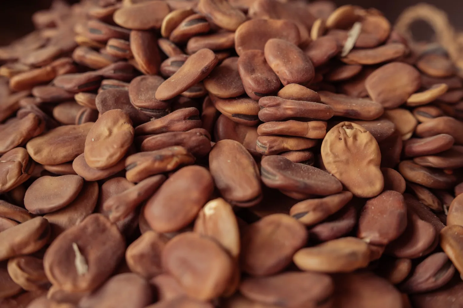 Fagioli giganti cotti