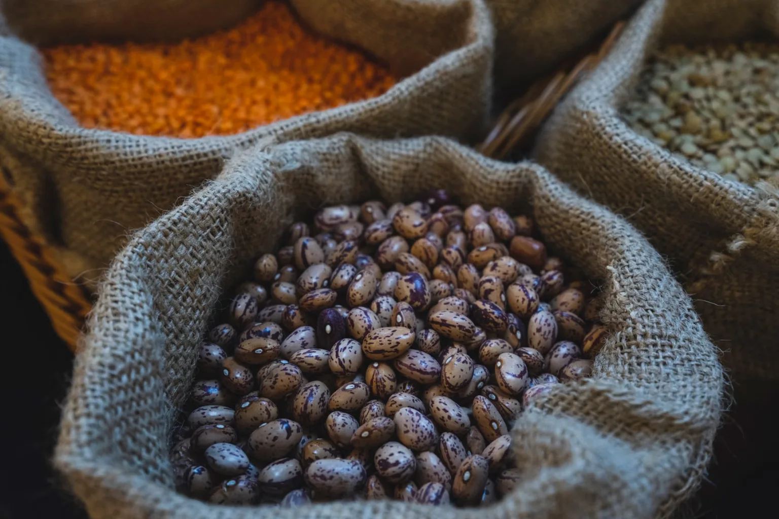 Dried pinto beans