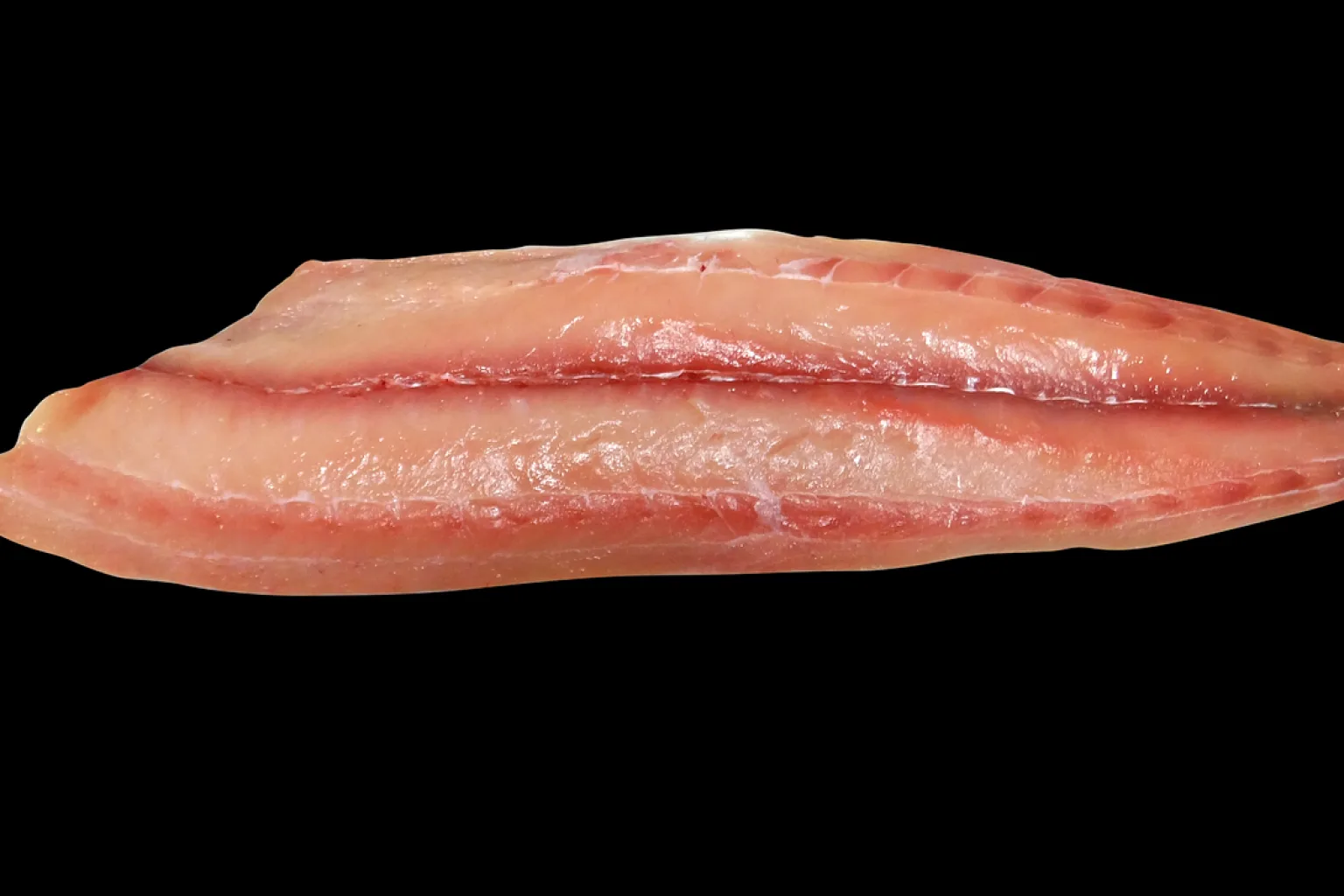 Filete de lampuga
