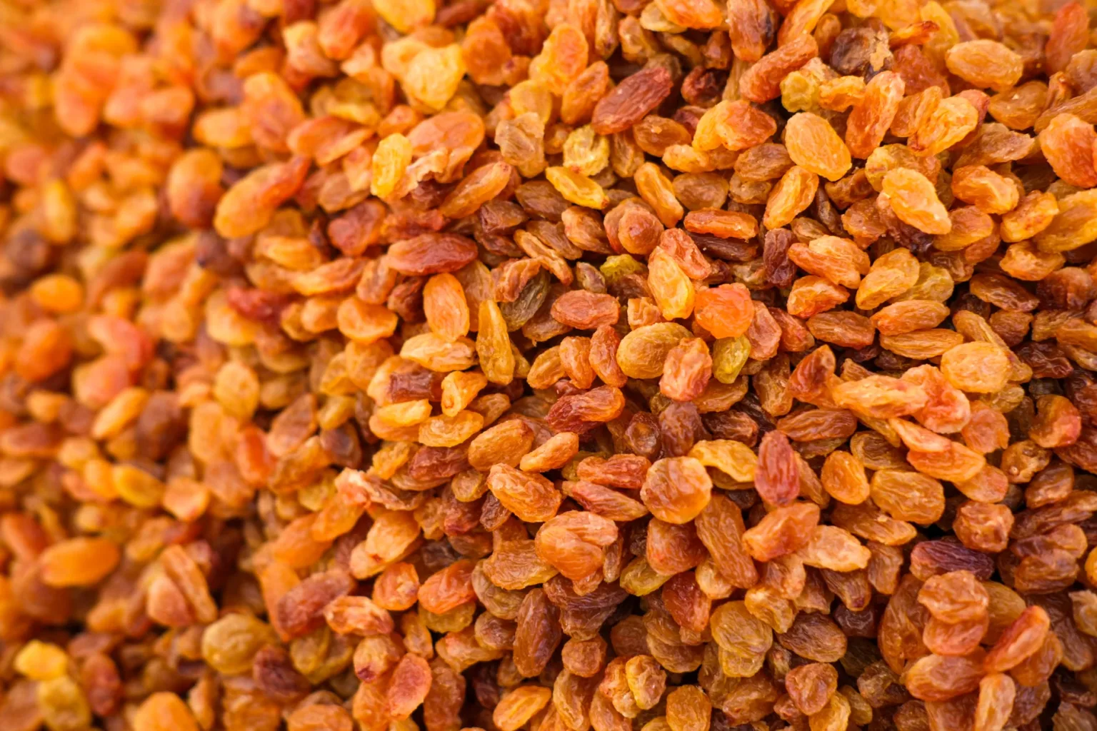 Dried barberries