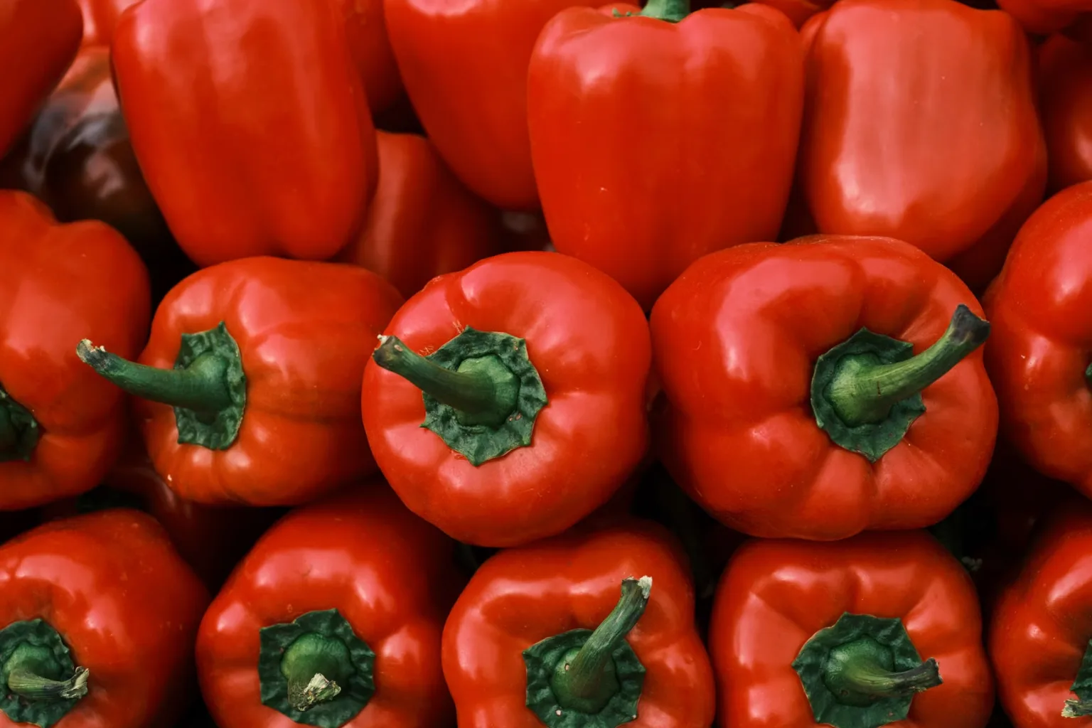 Peperone del piquillo in conserva