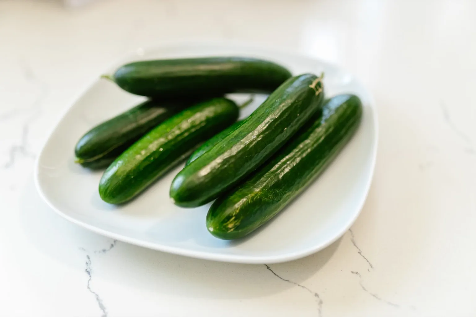 Small cucumber