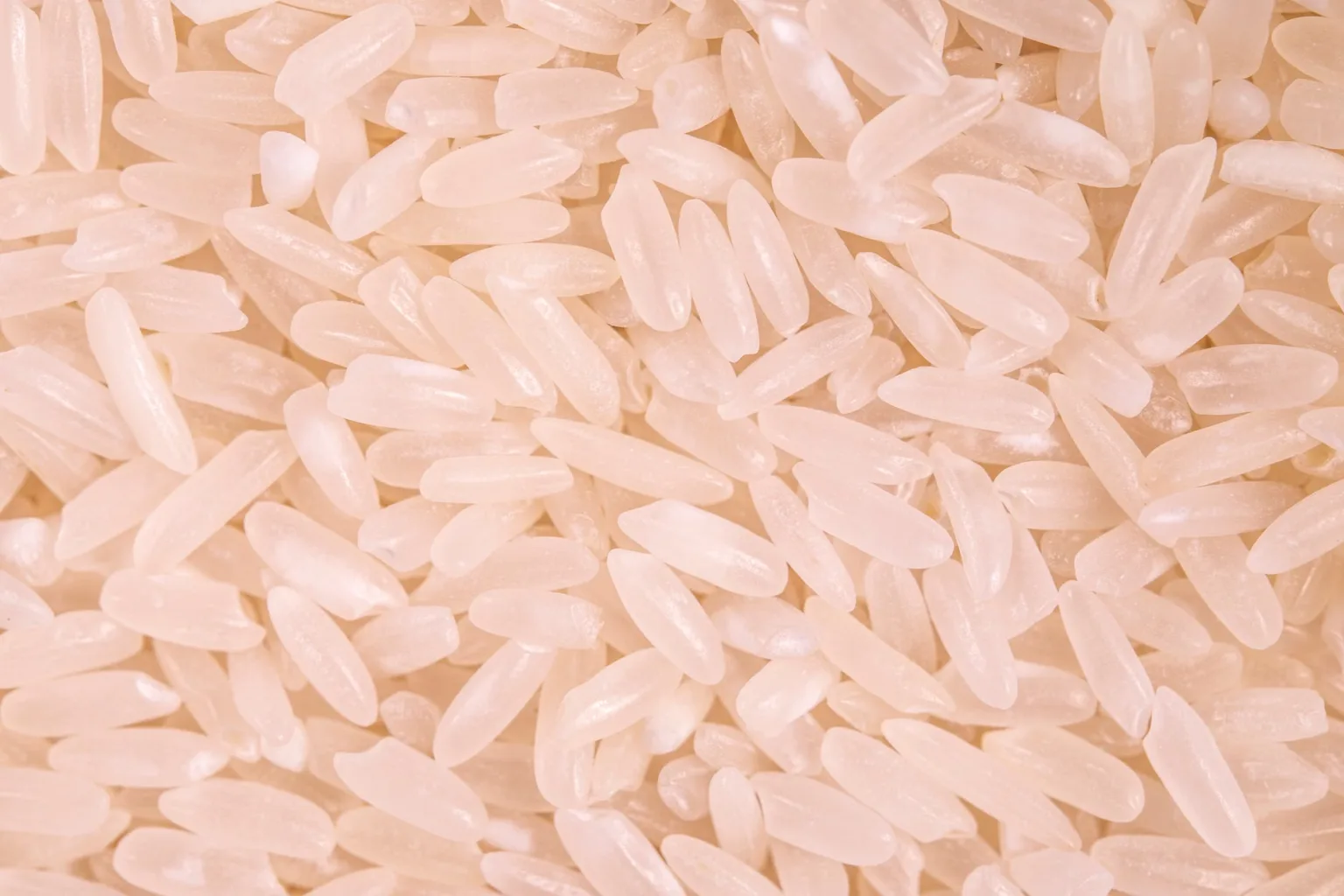 Arroz branco