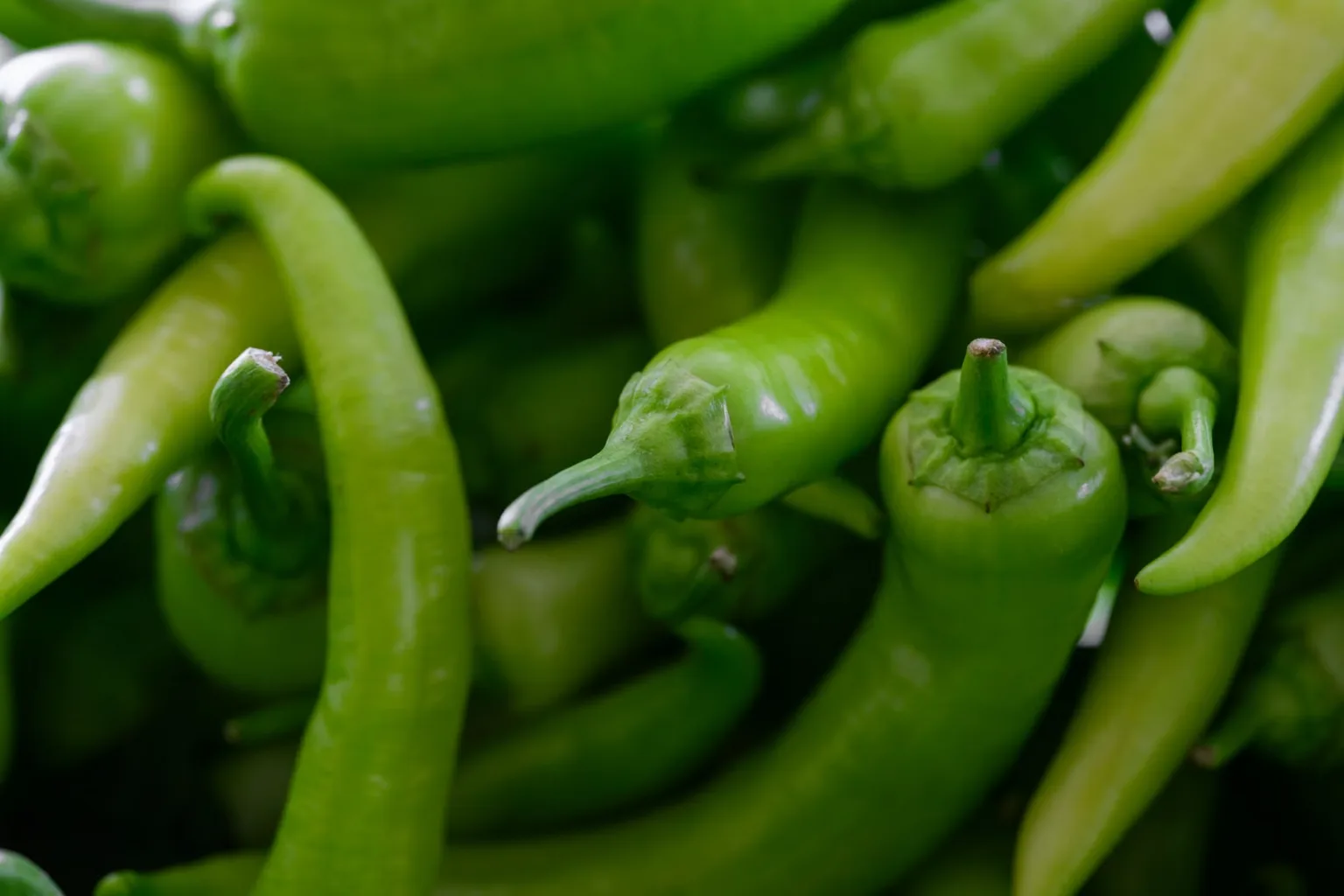 Pimiento verde italiano