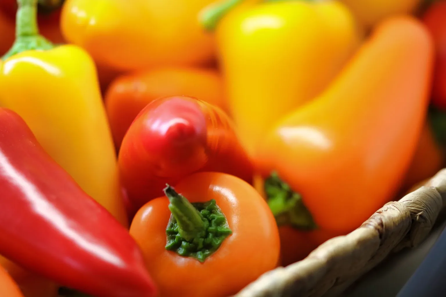 Chile pimiento pequeño