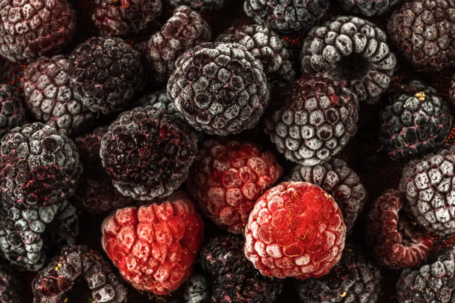 Frutti di bosco surgelati