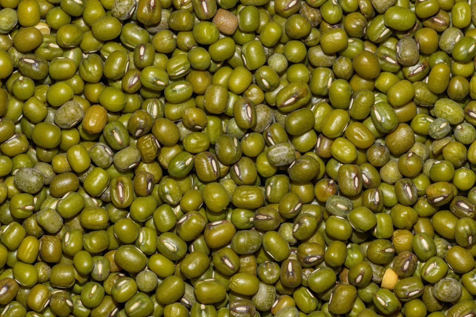 Dried mung beans (green soybeans)