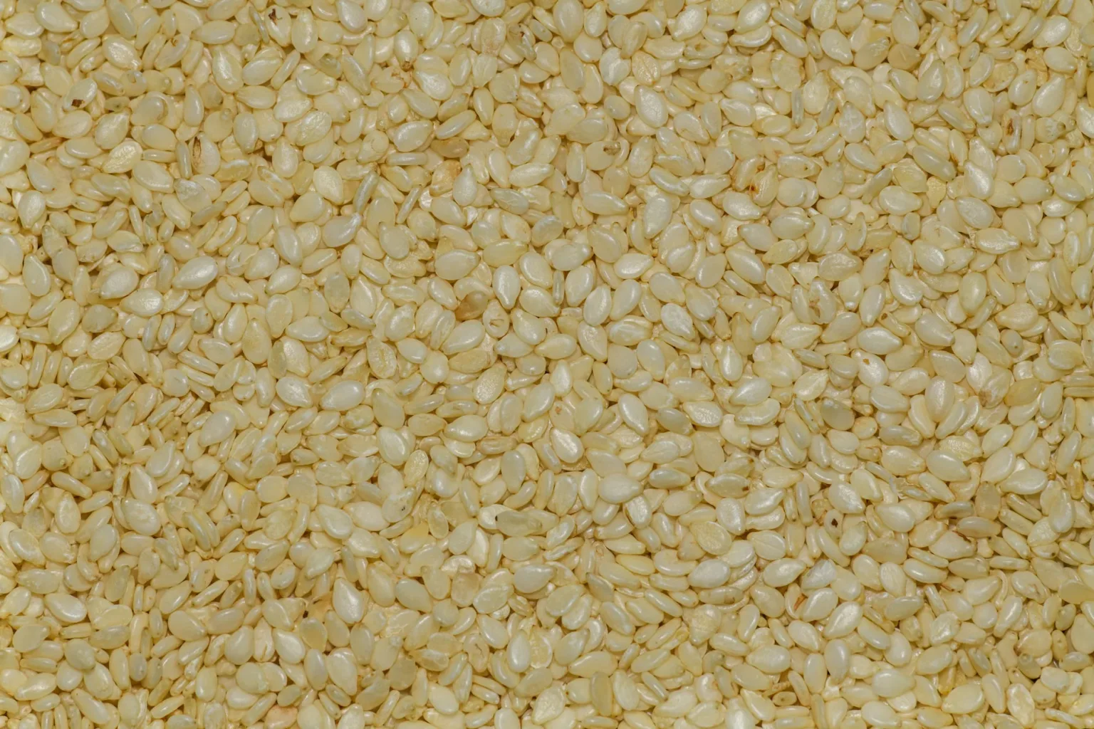 Sesampaste