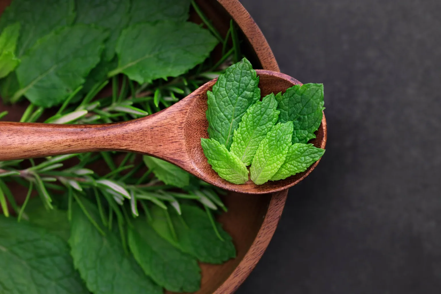 Foglie di menta