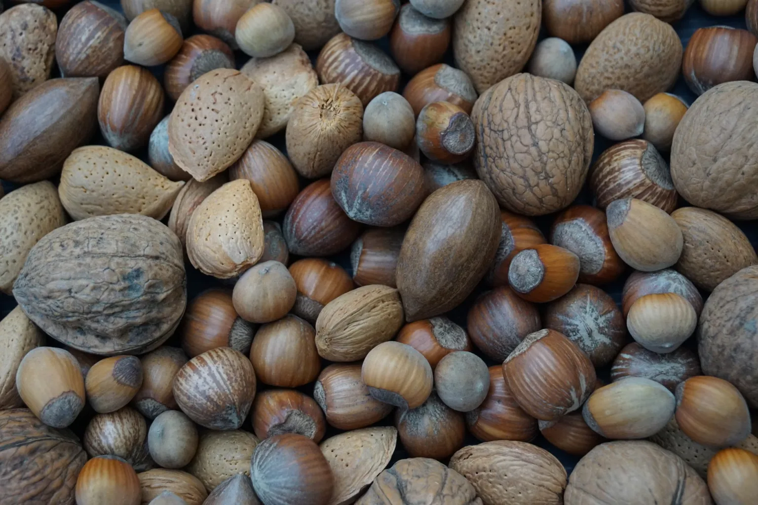 Frutos secos variados