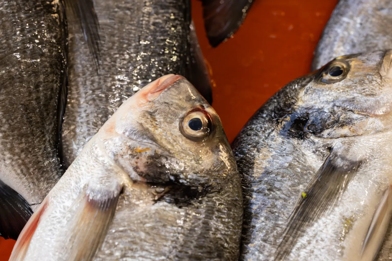 Mantequilla para el pescado
