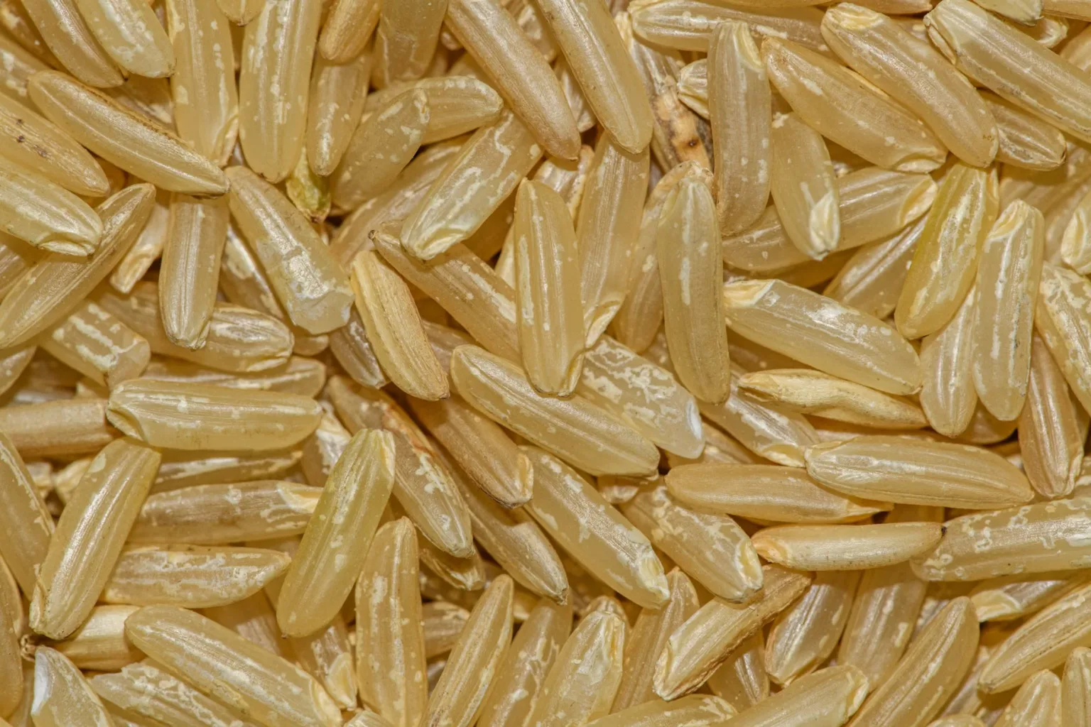 Riz complet cuit