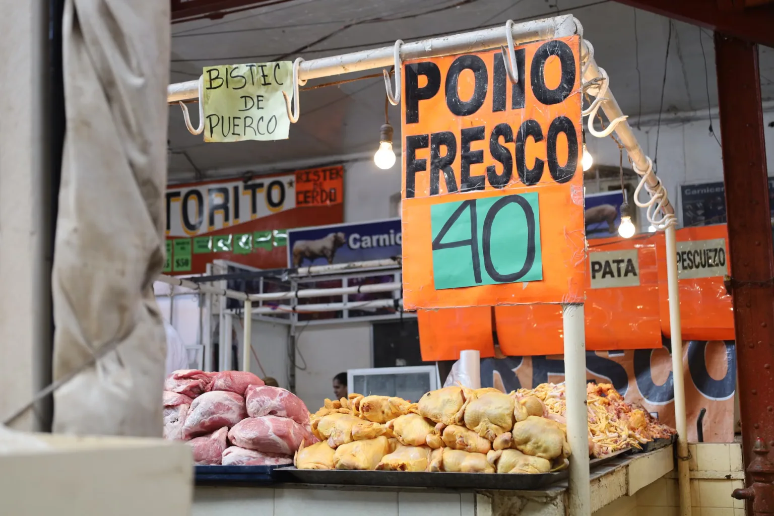 Ossos de porco e frango