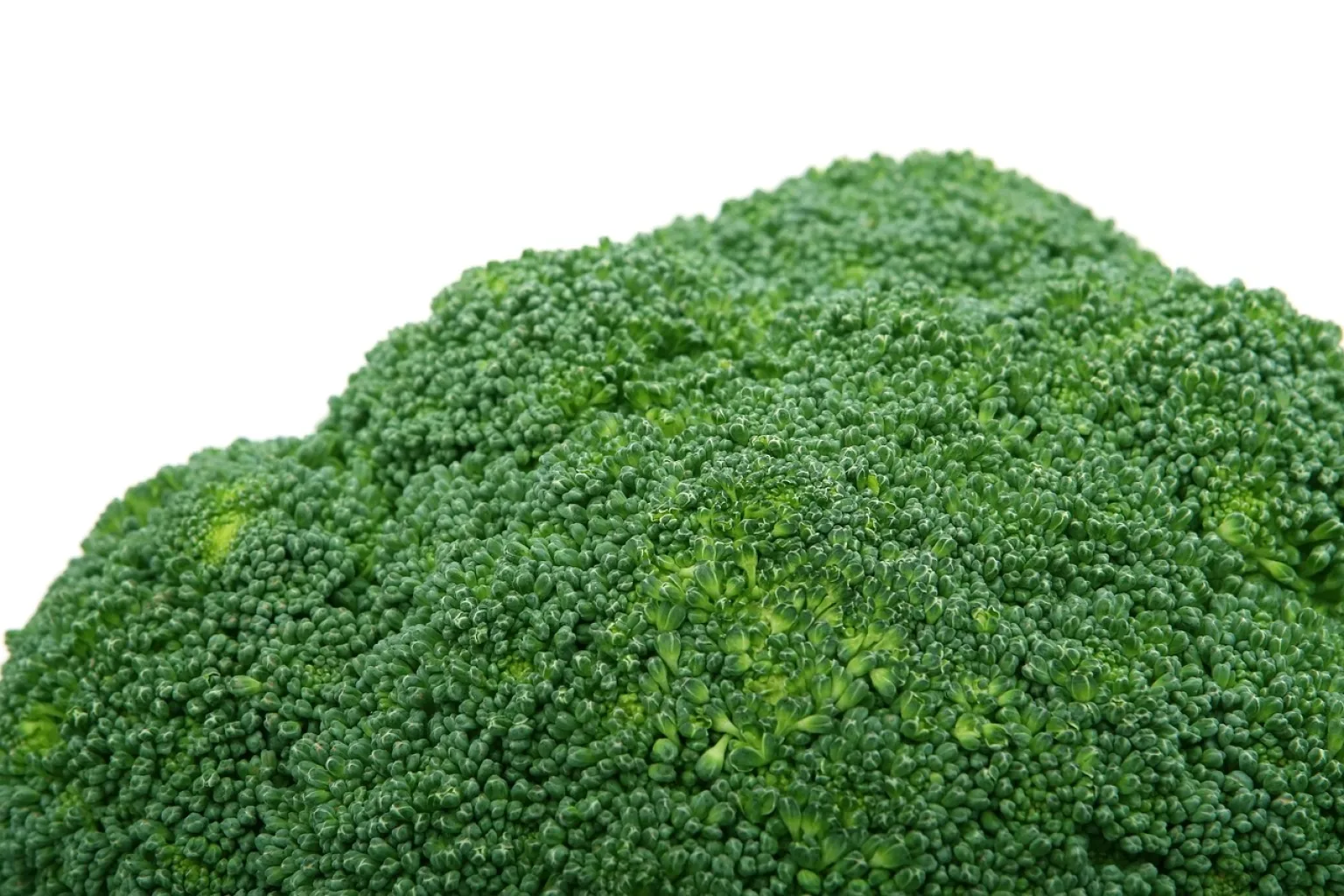 Broccoli fresco