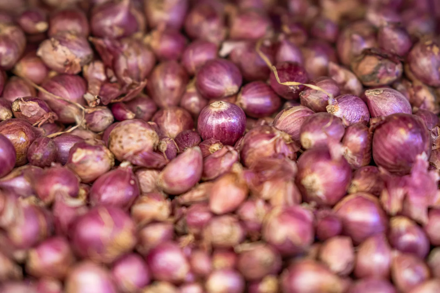 Cebolla pequeña