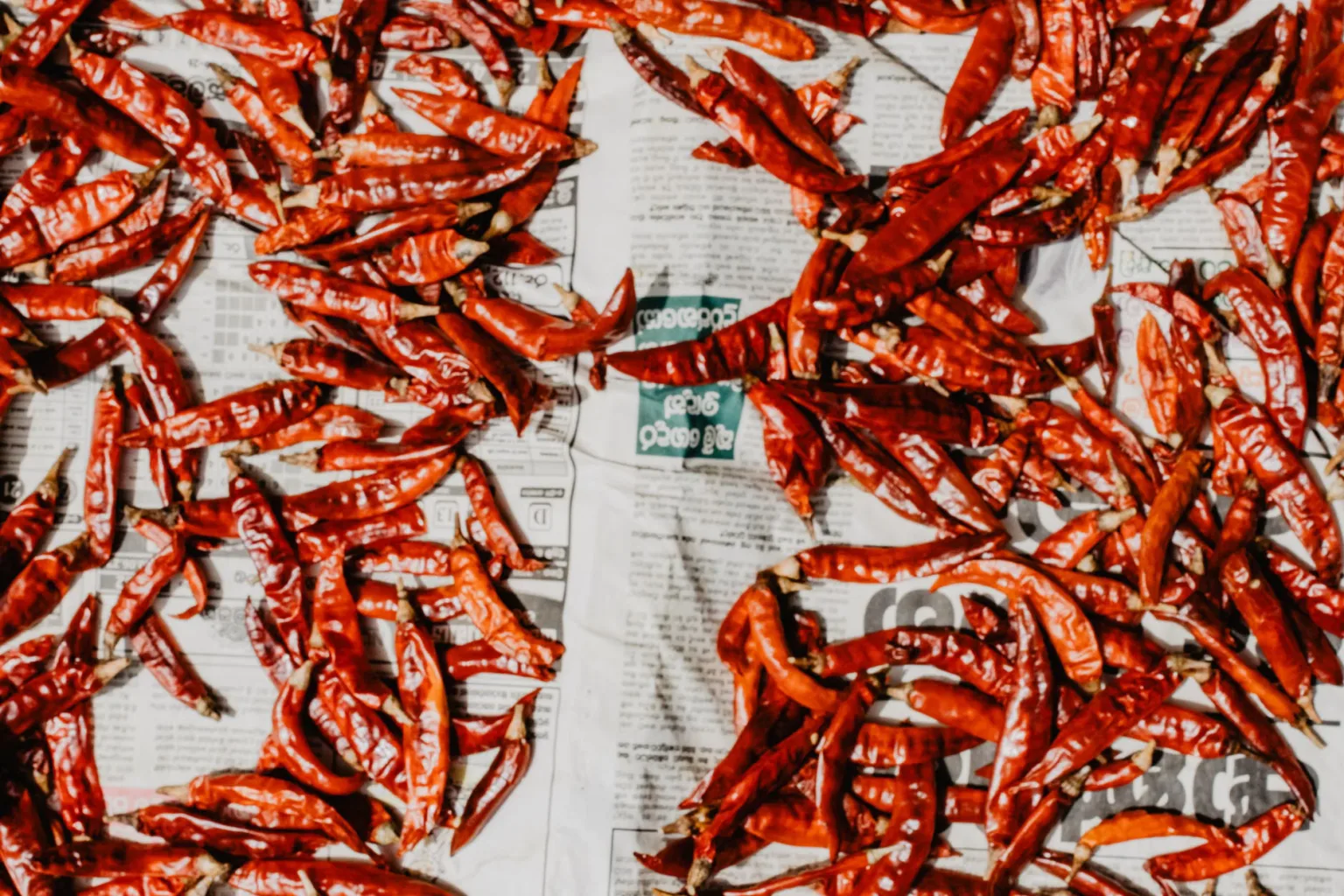 Kleine scharfe Chilis