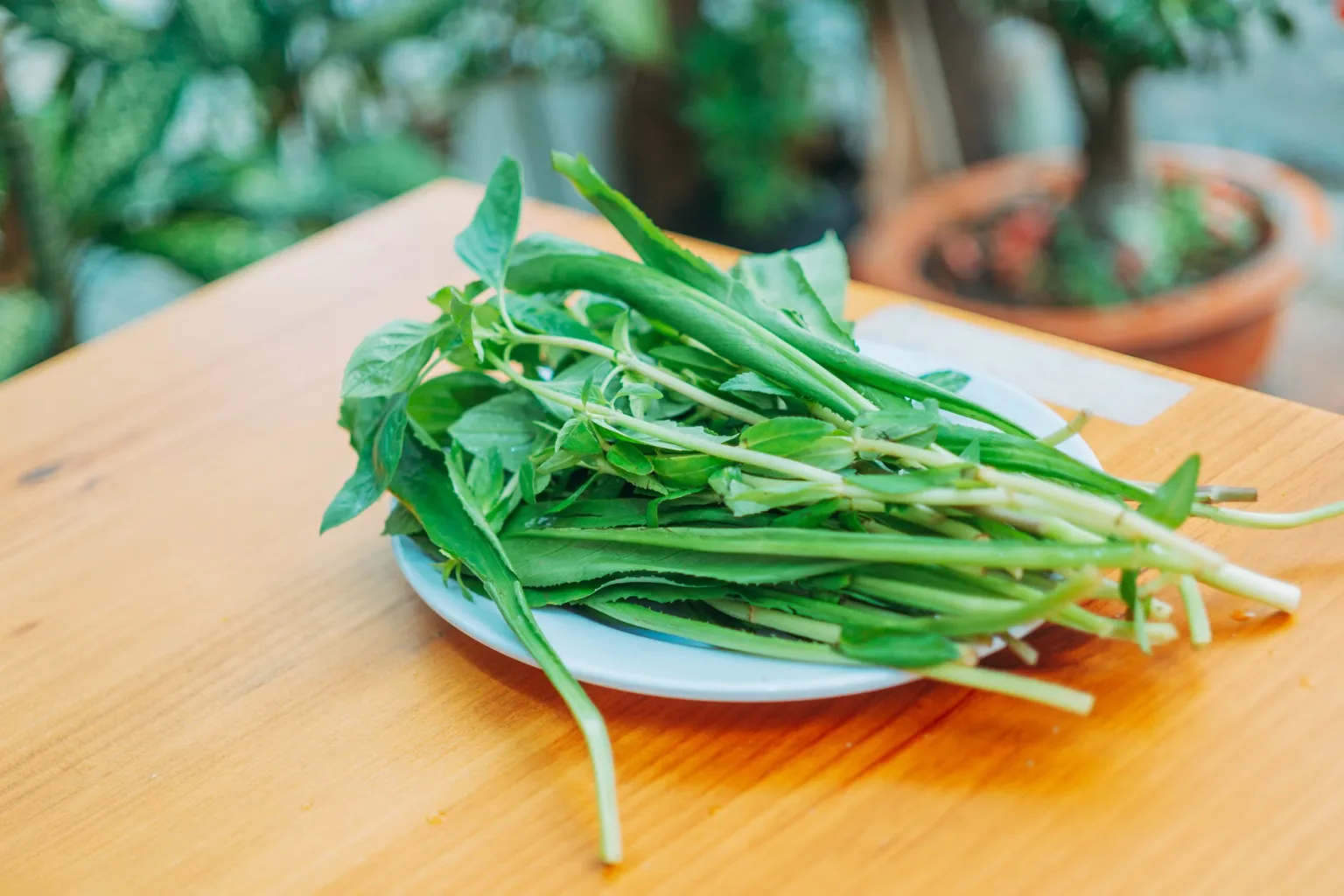 Fresh herbs