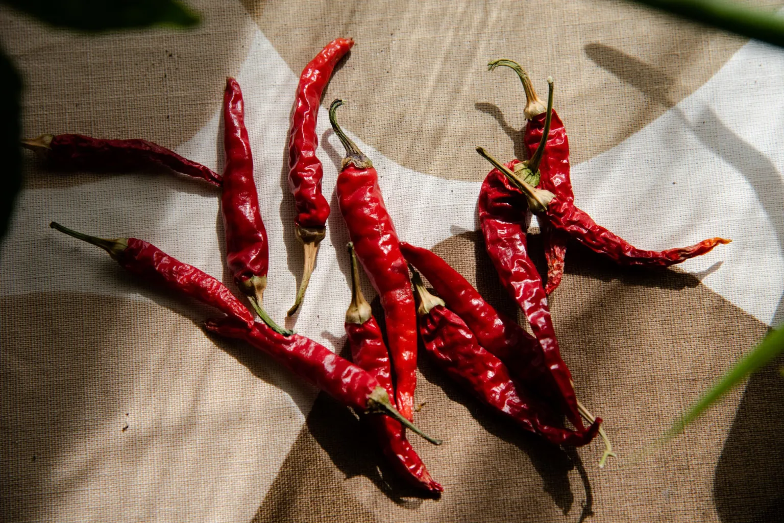 Chile seco para la salsa