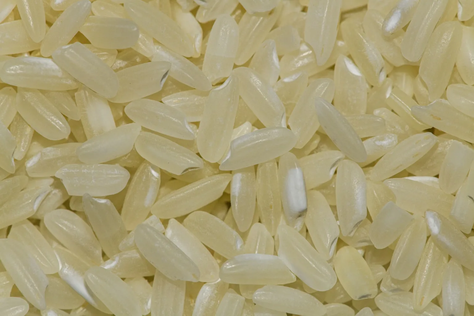 Arroz largo