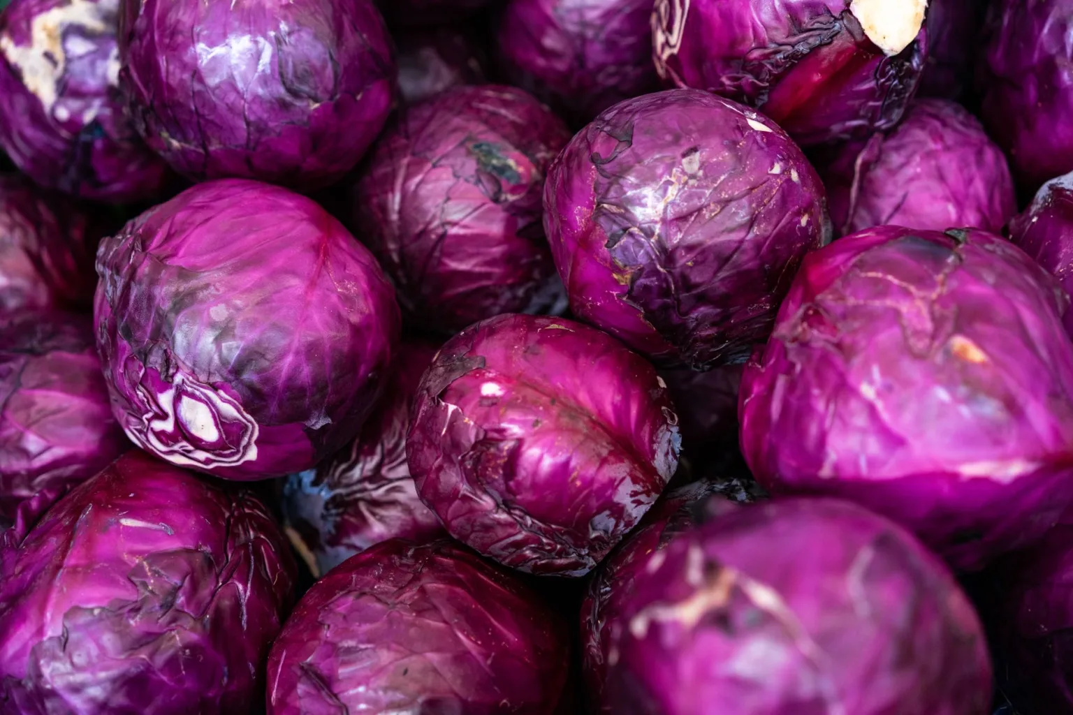 Red cabbage