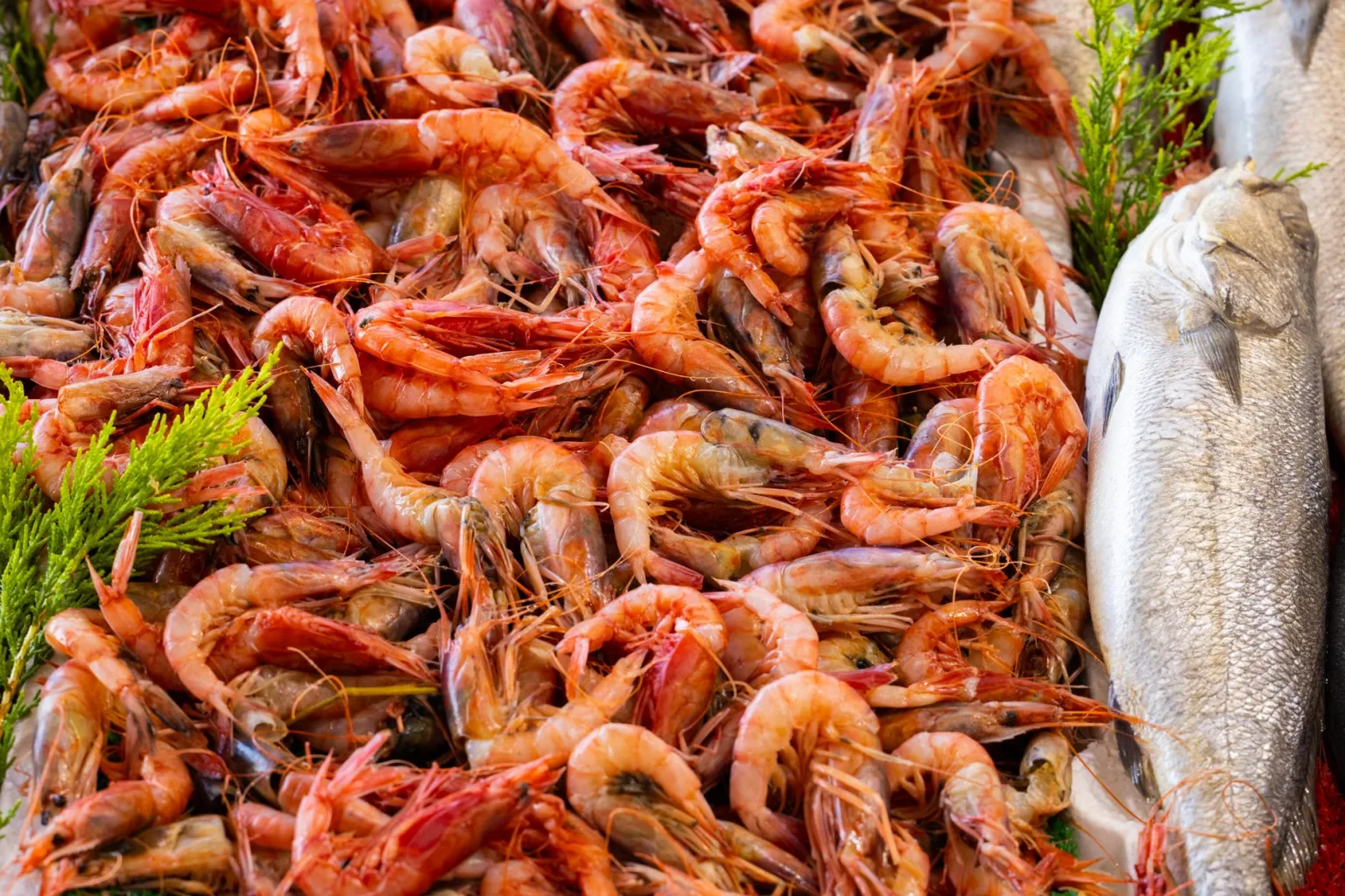 Gambas enteras