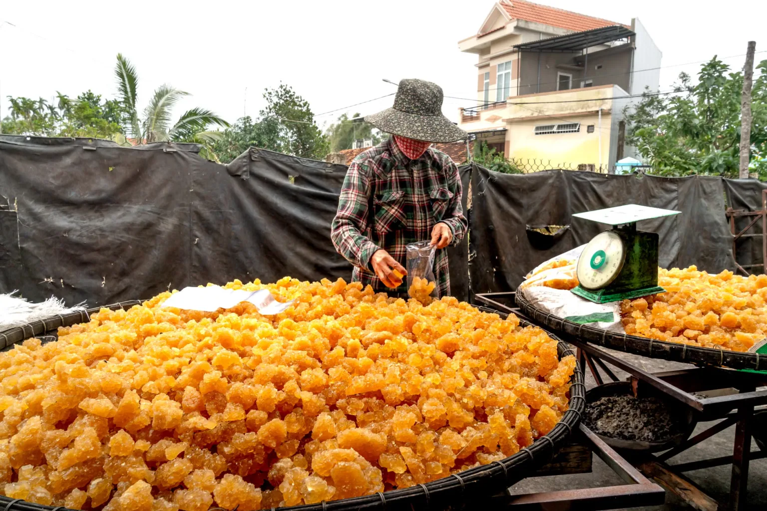 Jaggery