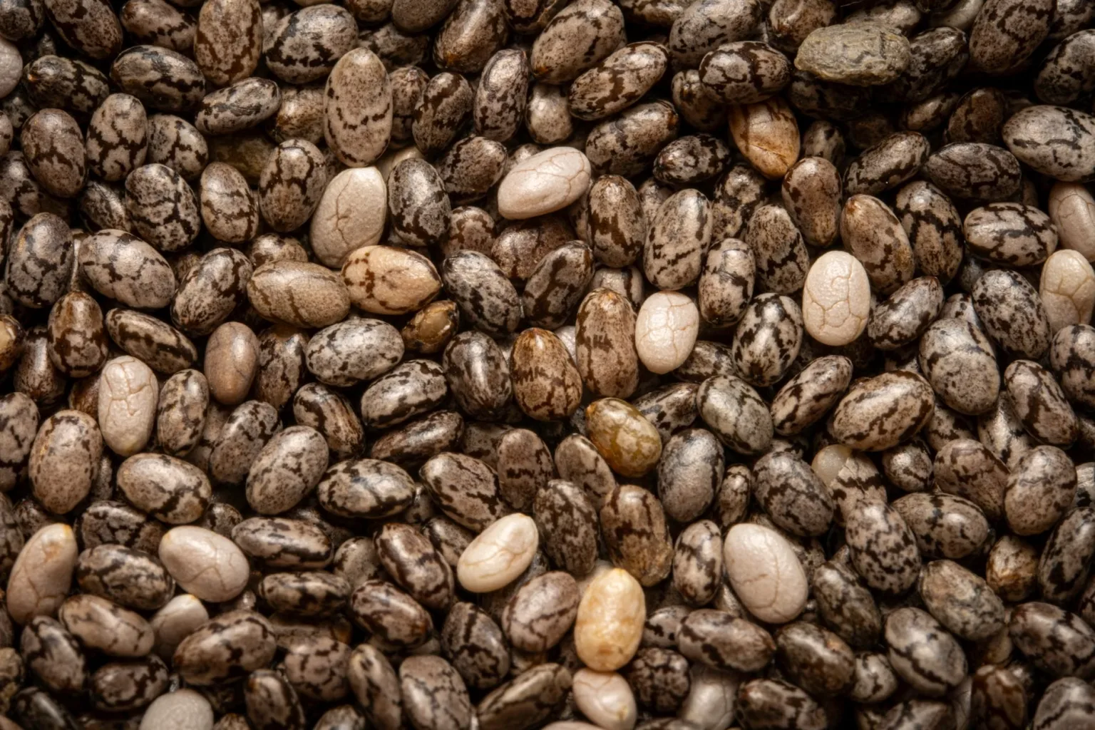 Alubias blancas cocidas